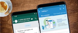 CallAppОпределитель антиспам Screenshot