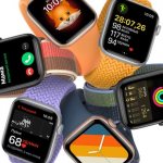 How are Apple Watch Series 7, Series 6 and SE different? Detailed comparison 