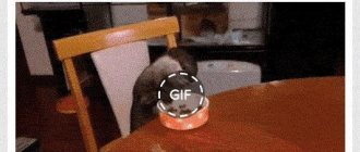 how to save a gif
