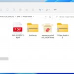 How to Show File Extension in File Explorer in Windows 11